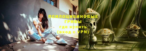 экстази Богородицк