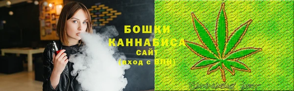 apvp Богданович