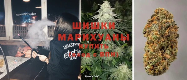 apvp Богданович