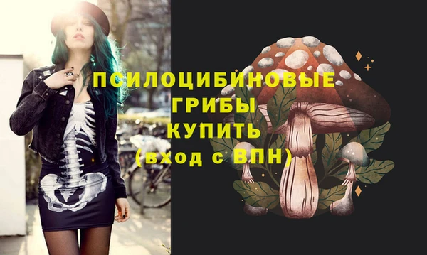 apvp Богданович